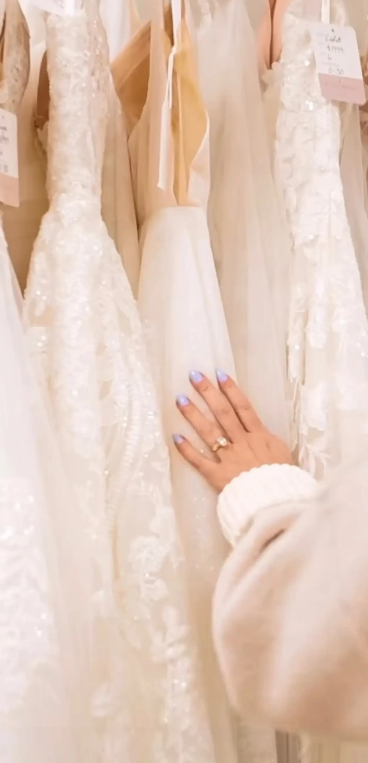 How Much Does a Wedding Dress Cost? A Guide to Your Bridal Gown Investment. Desktop Image